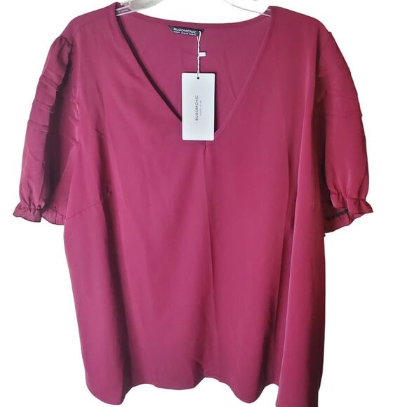 BloomChic V-Neck Elastic Arm Lightweight Blouse, NWT, 3X - Picture 1 of 6